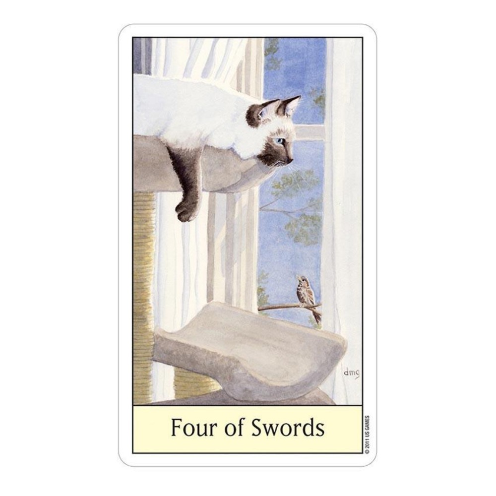Cats Eye Tarot 12x7 cm Card Ga - Tarot Deck With Guidebook review and price