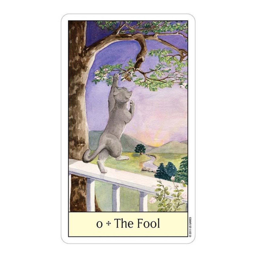 Cats Eye Tarot 12x7 cm Card Ga - Tarot Deck With Guidebook review and price