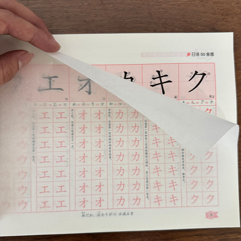 Zero Beginner Japanese Hiragan - Chinese Calligraphy Practice Book review and price